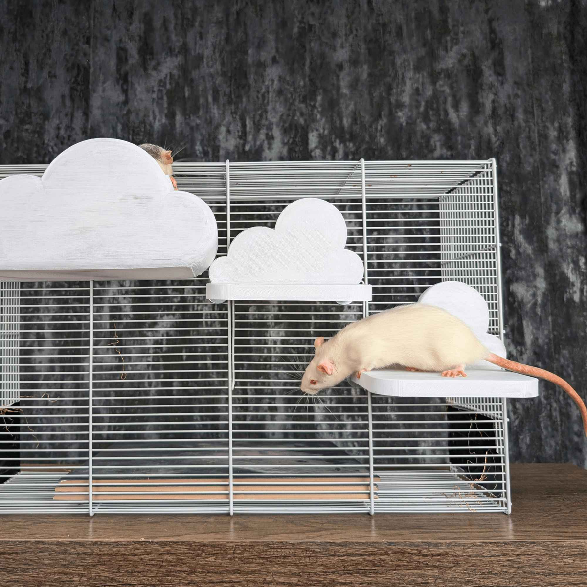 bundles - Cloud Rat Shelves & Hideaway