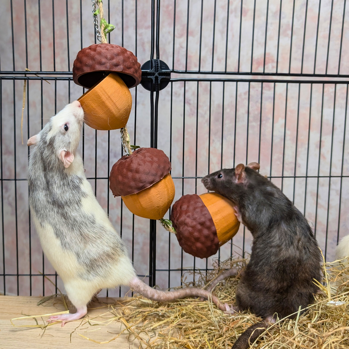 foraging-puzzles - Cute Rat Toy Foraging Garland