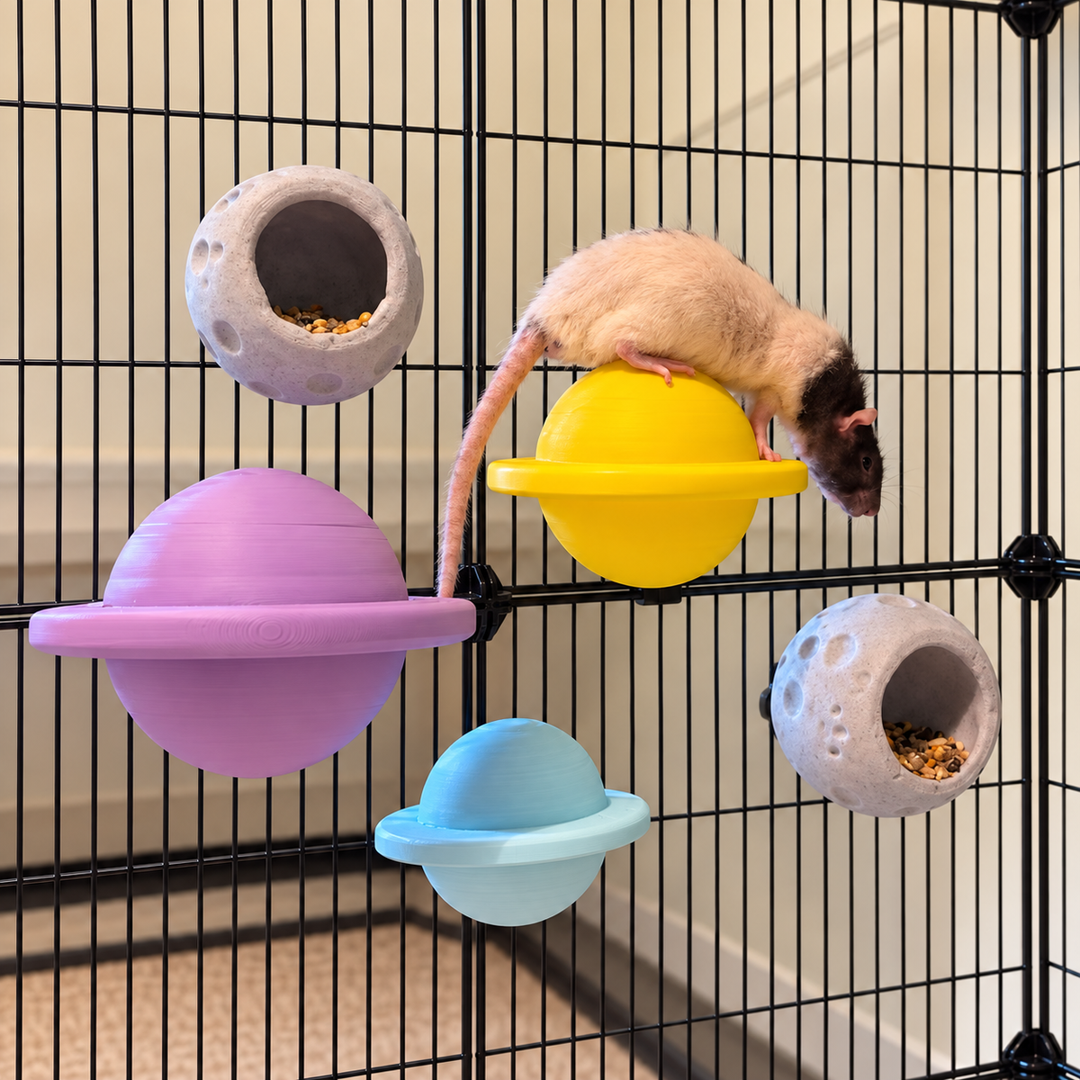 Cream rat on a yellow planet perch with the complete three-perch and two-moon set mounted on cage bars