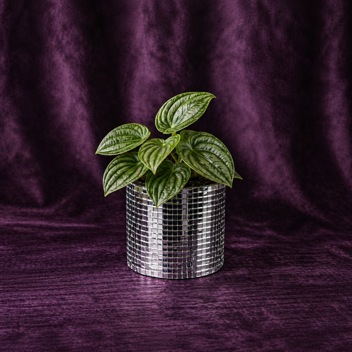 Large silver mirror mosaic cylinder planter with green houseplant