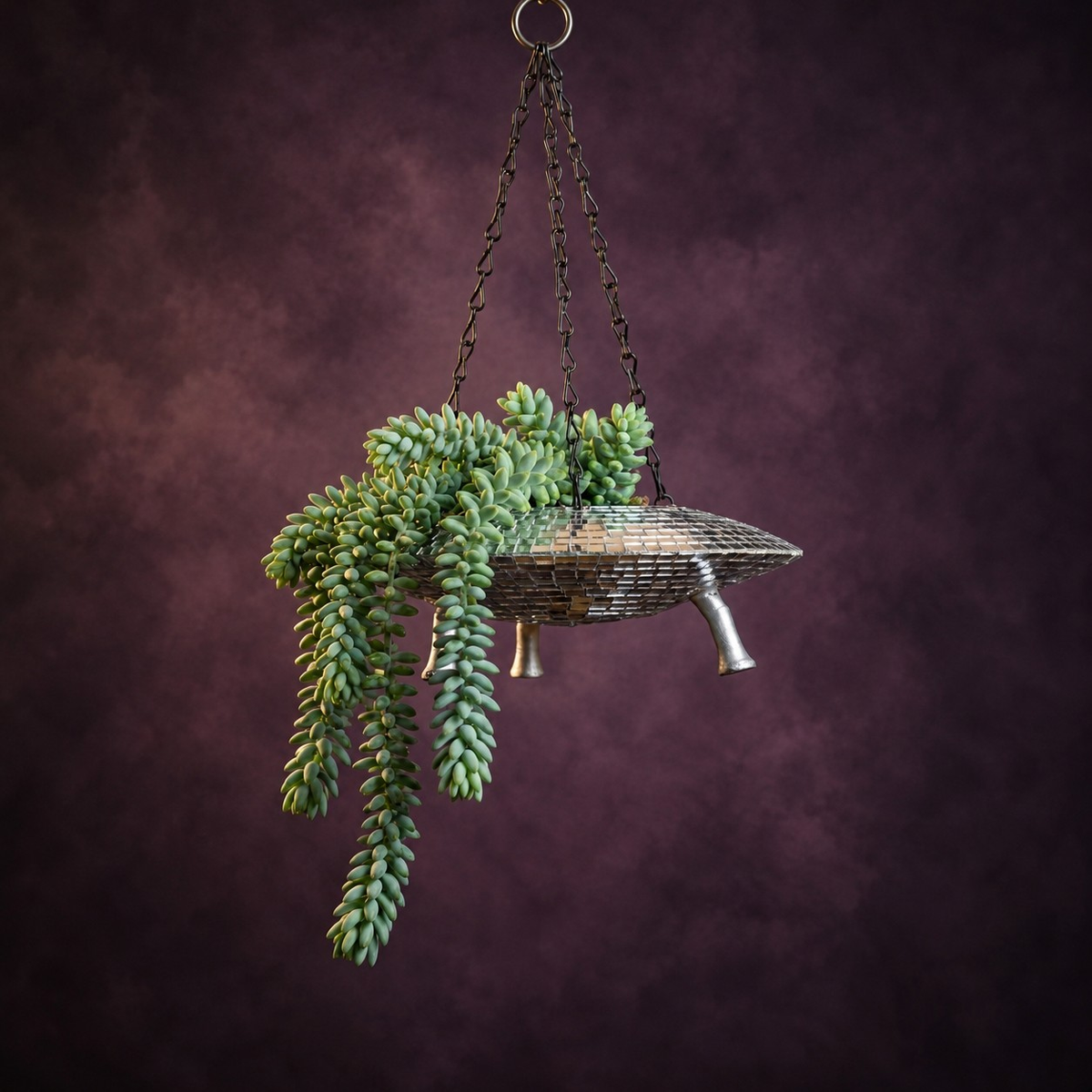 The Mothership disco mirror ball hanging planter - 02-burros-tail