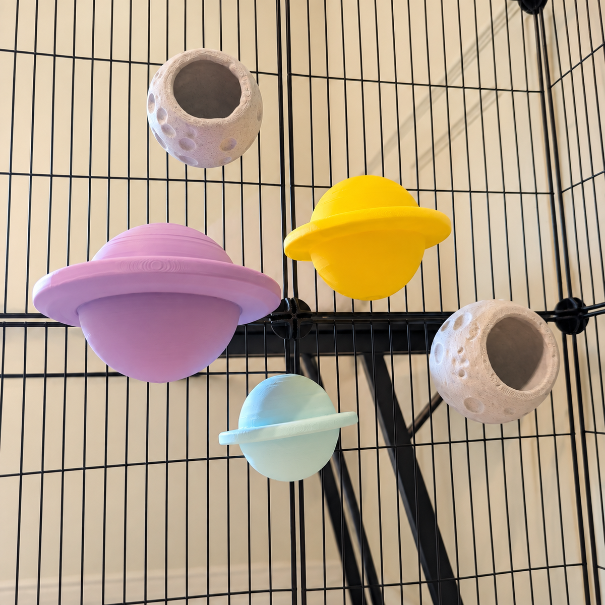 Oblique view of three colourful planet perches and two grey moon cups mounted on cage bars
