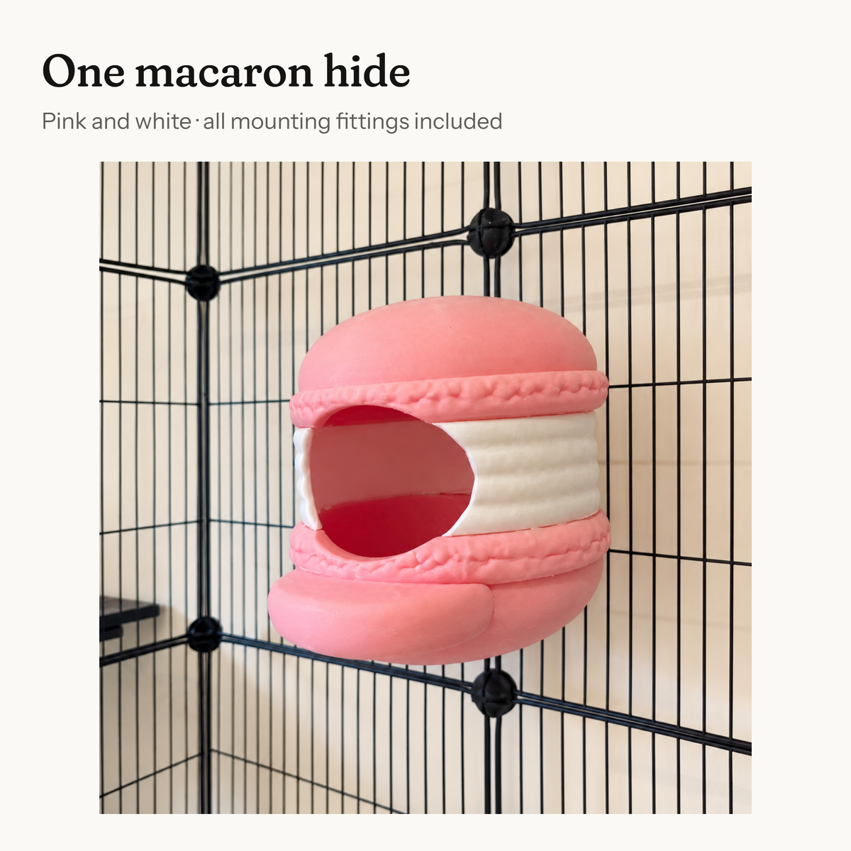 Contents card showing one pink and white macaron-shaped rat hide.