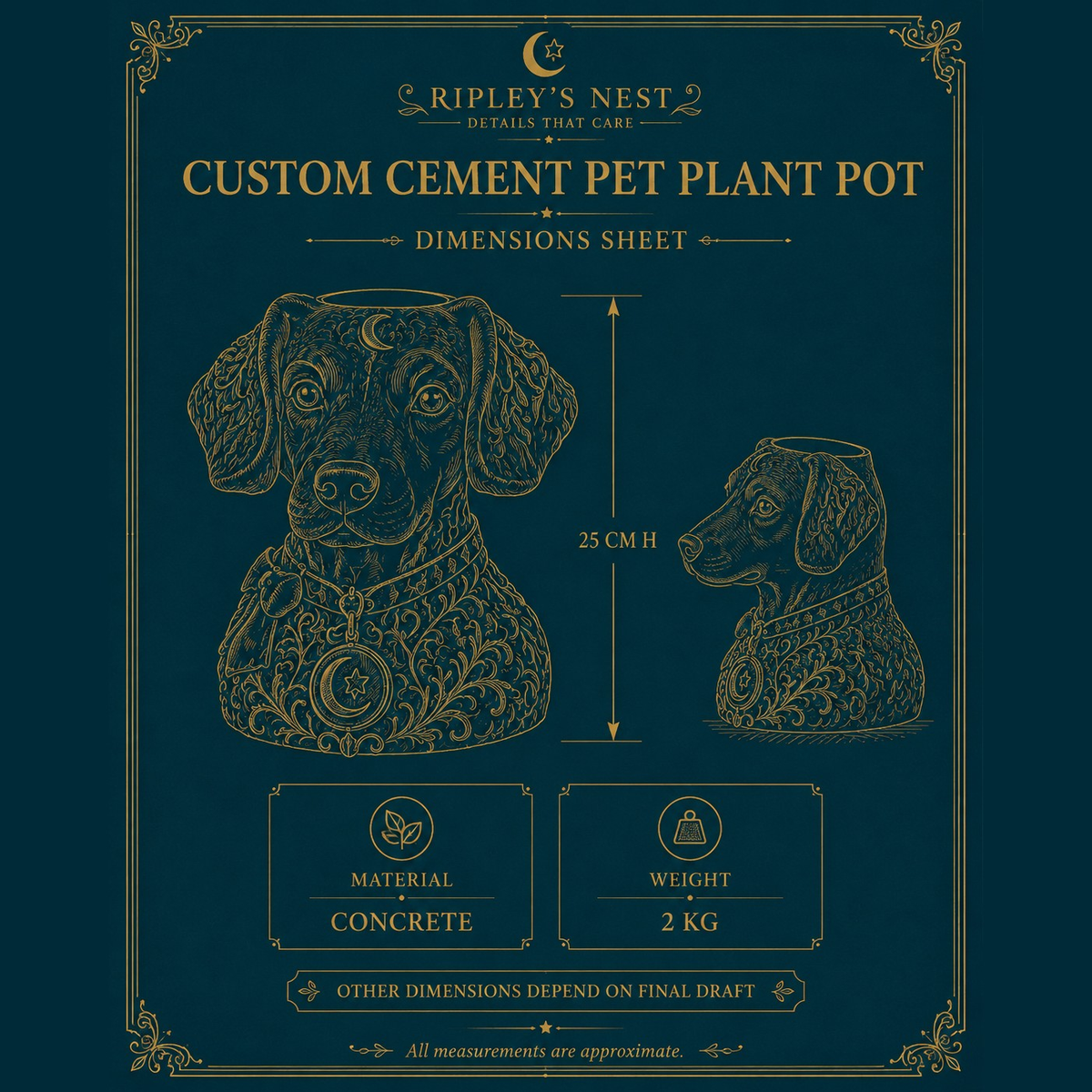 The Moon Familiar planter dimensions sheet showing 25 cm height and 2 kg weight