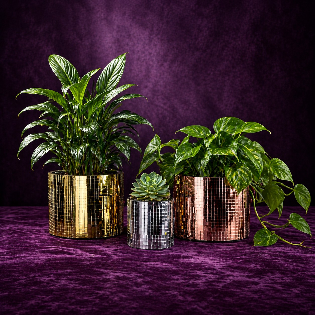 Gold, silver and rose gold disco ball plant pots shown in both sizes