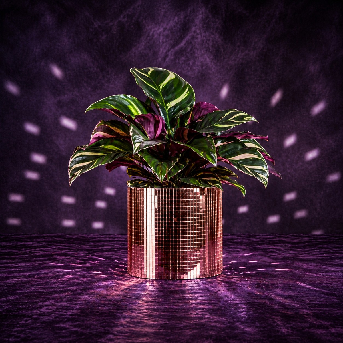 Rose gold disco ball plant pot with a colourful leafy houseplant