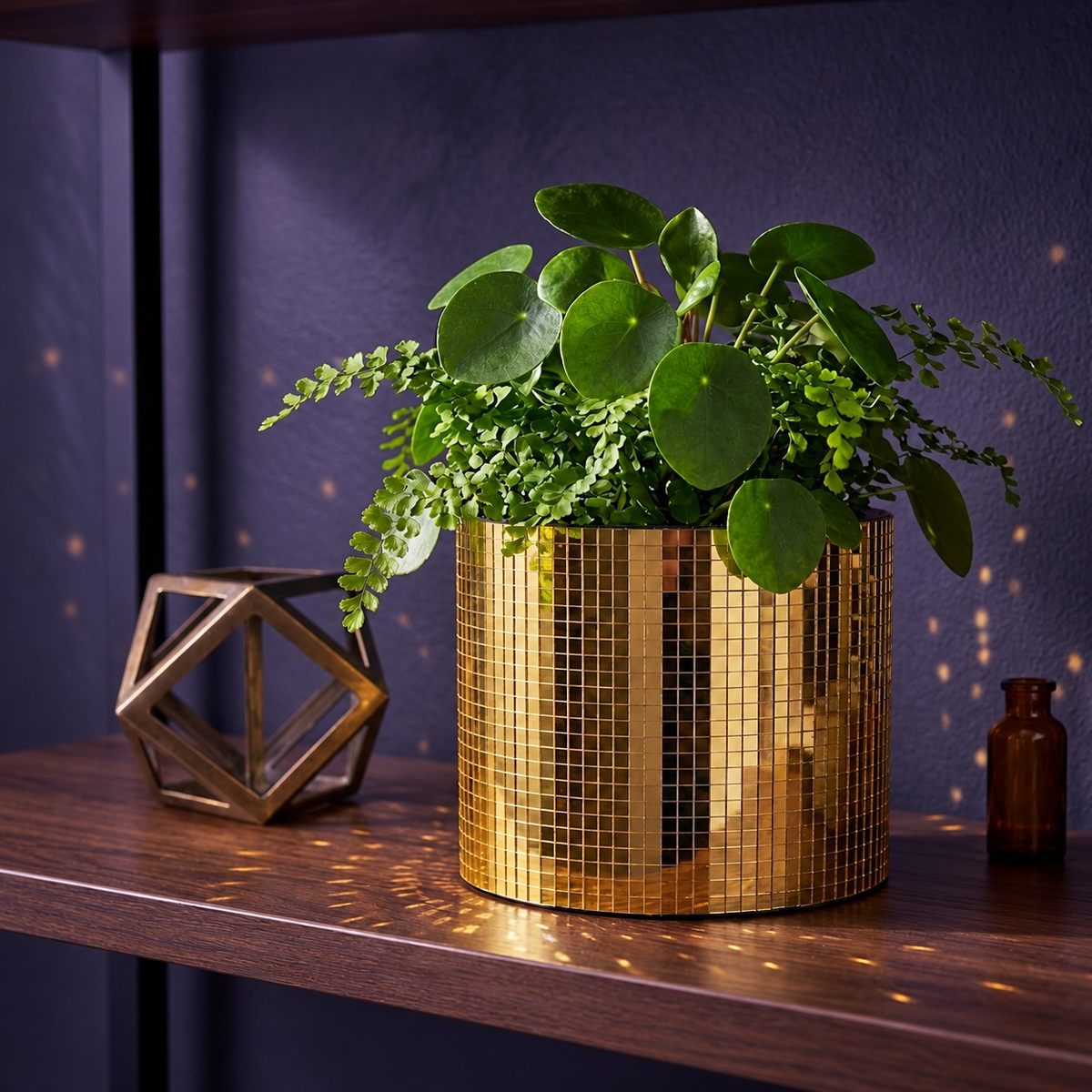 Gold mirror mosaic cylinder planter with leafy houseplant