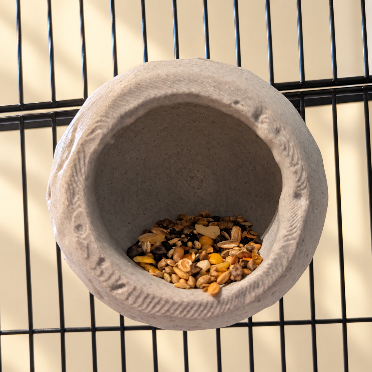 Close view of the moon cup opening, rim and crater texture