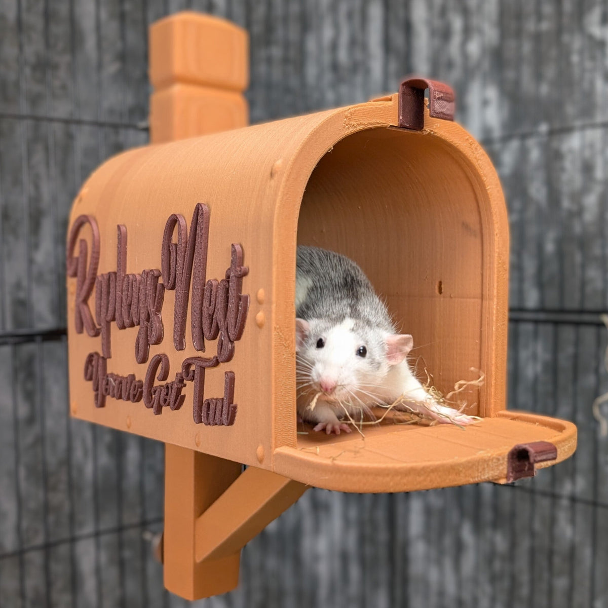 Bruxlings custom rat cage accessory made from your idea