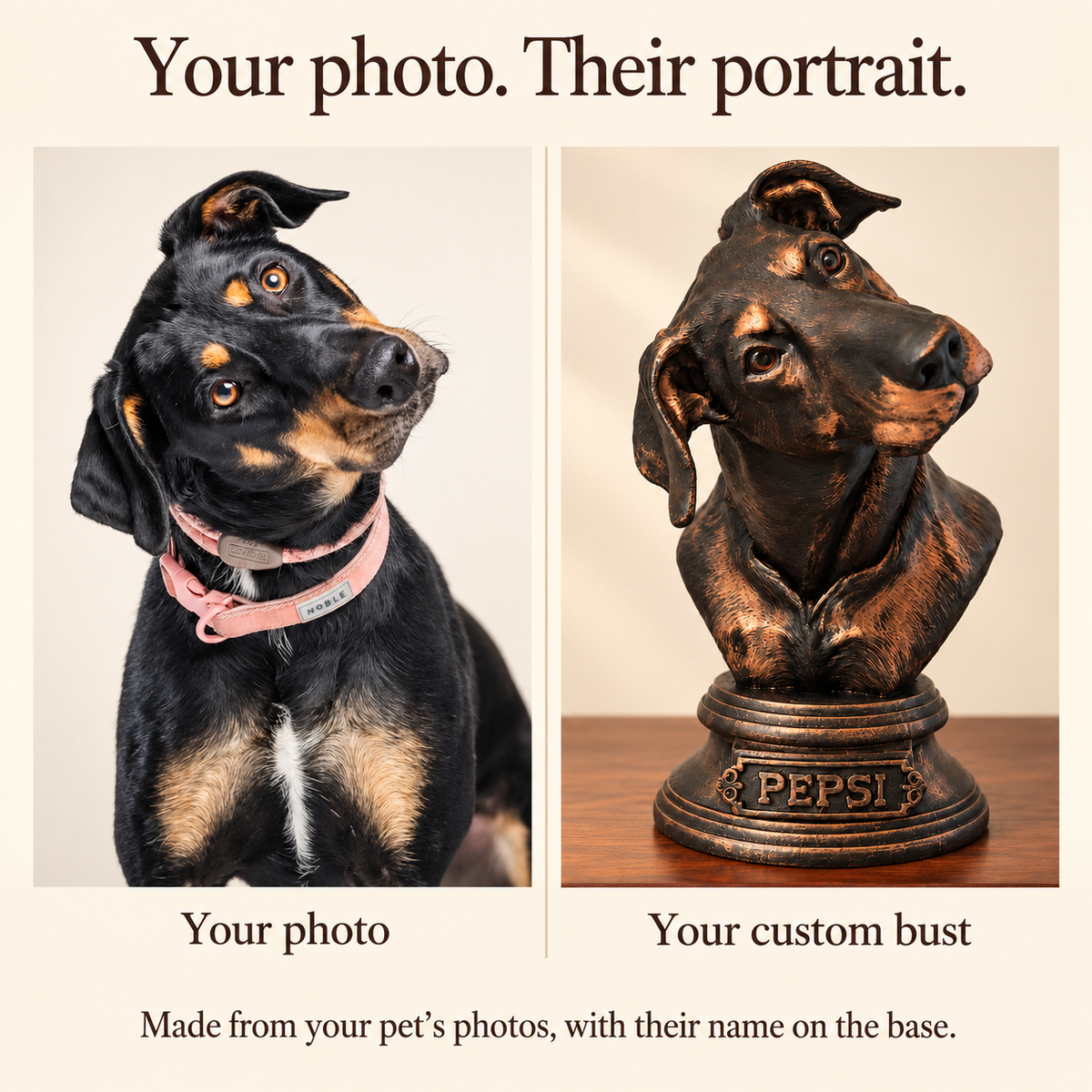 Your photo to Pepsi portrait in black with copper-painted highlights