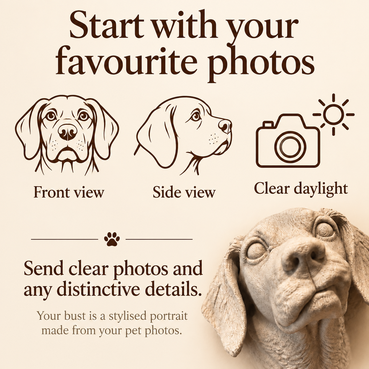 Photo guidance: clear front and side views in daylight for a stylised pet portrait