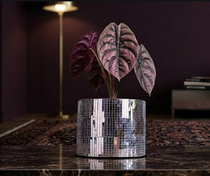 Silver disco ball plant pot with a dark-leaved houseplant on a coffee table