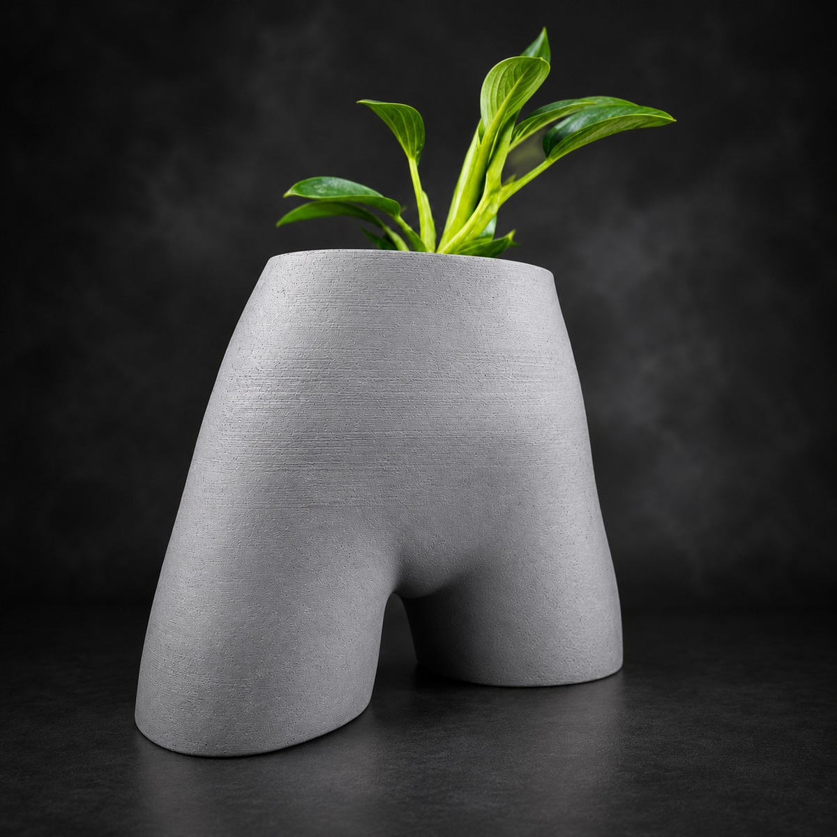 Side view of Cheeky Bum cast stone planter with plant on dark backdrop