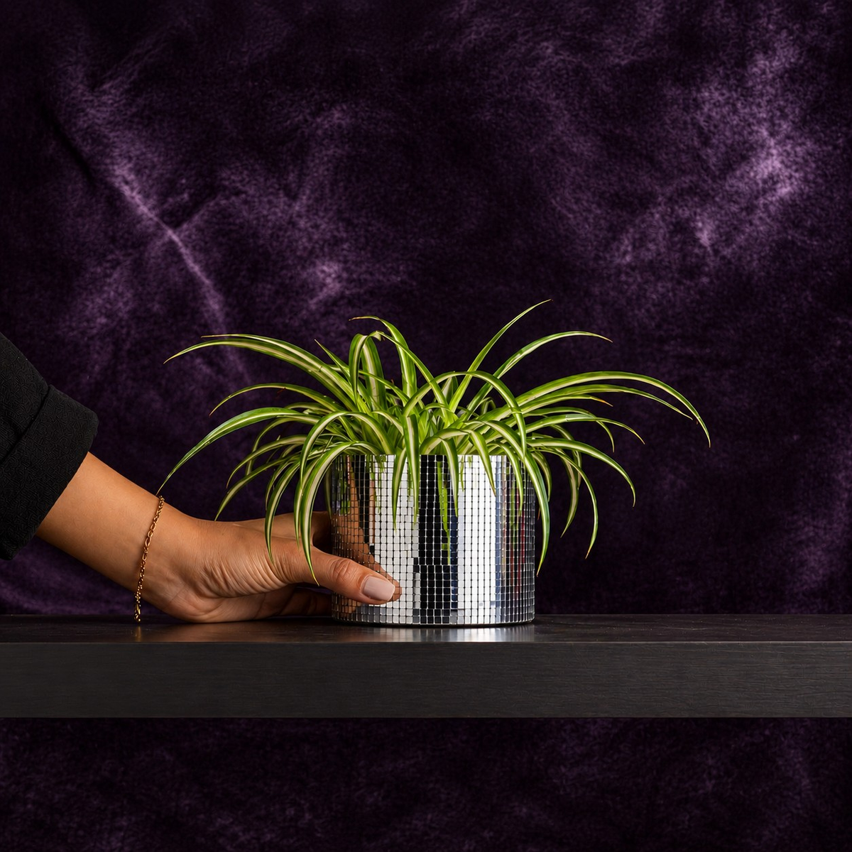 Small silver disco ball plant pot held in one hand for scale