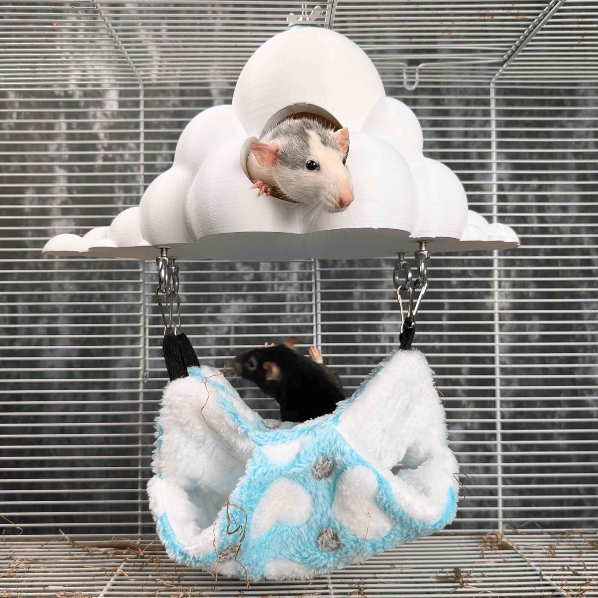 White rat in the cloud hide above a black rat in the hammock