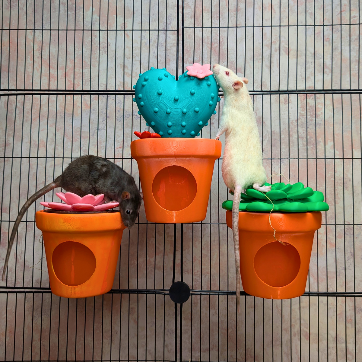 Cactus Rat Hide Set of 3: cage accessory
