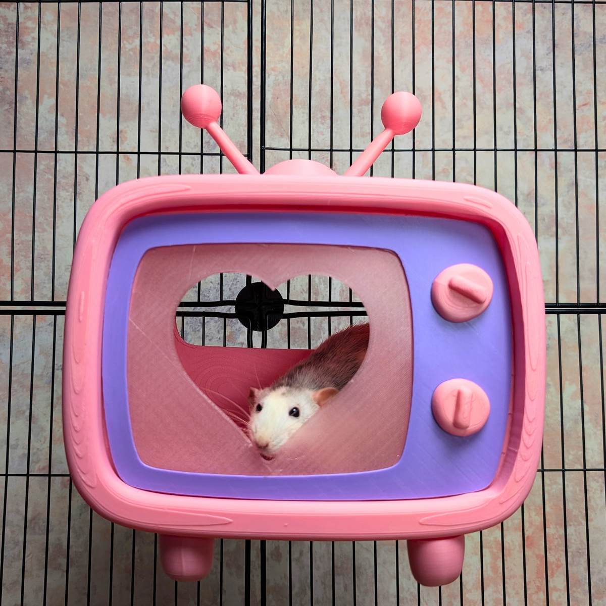 Retro TV Rat Hide with rat at heart-shaped opening