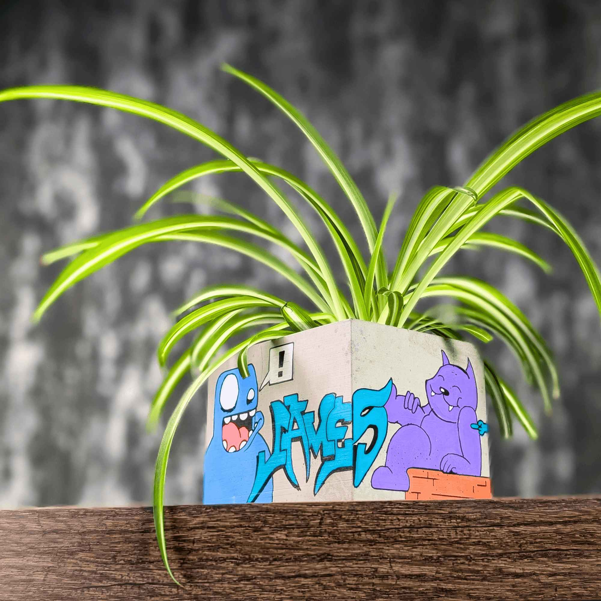 Front view of planted graffiti building planter with spider plant