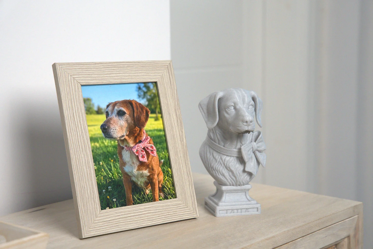 Custom Pet Bust from Photo | Personalised Pet Memorial: Finished custom dog bust displayed beside pet photo