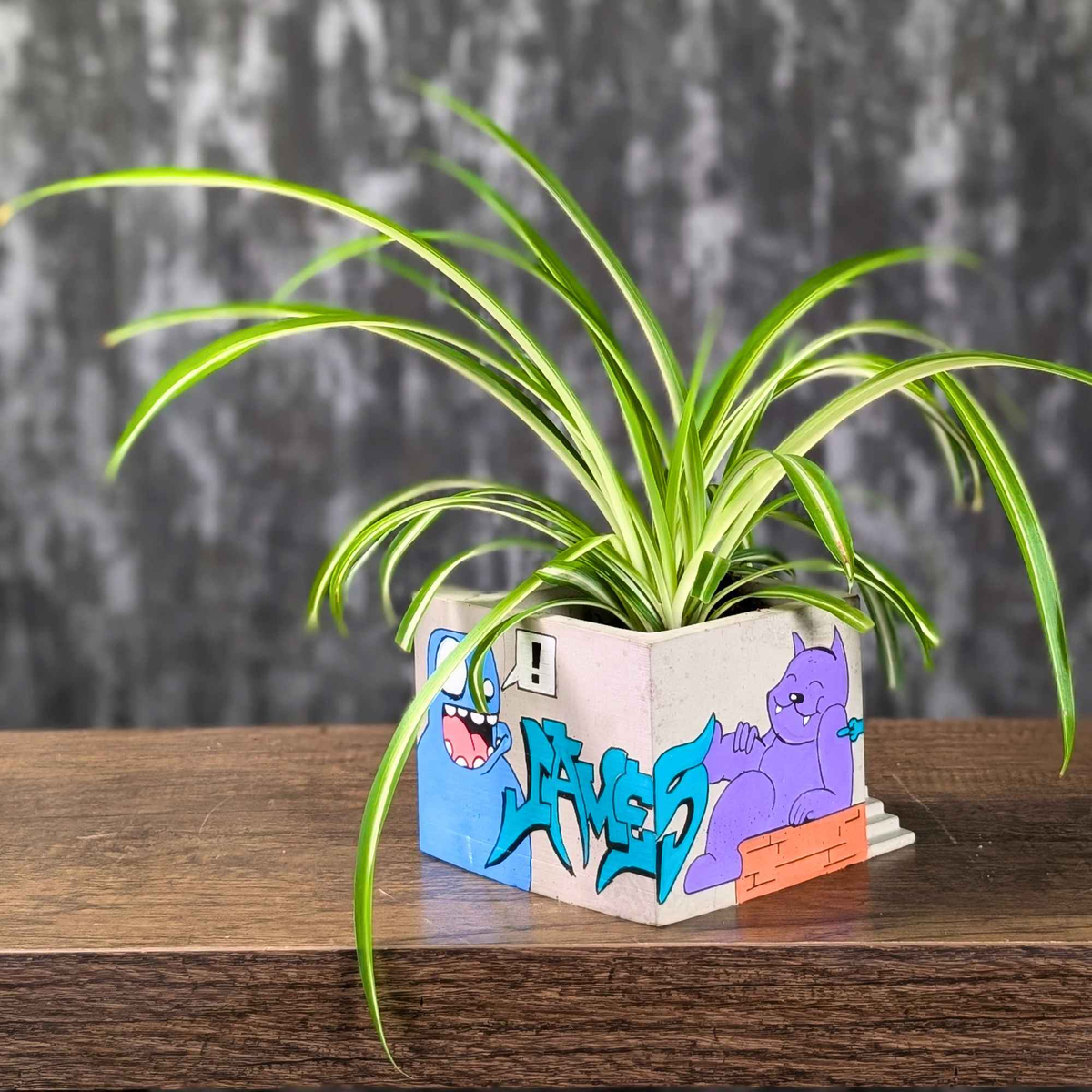 Three-quarter view of graffiti building planter with spider plant