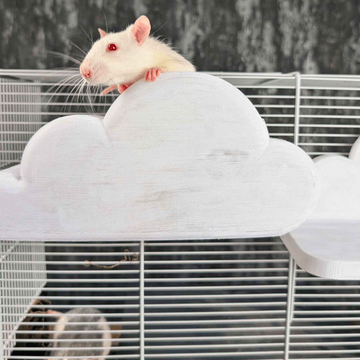 Cloud Rat Shelves & Hideaway attachment mechanism close-up