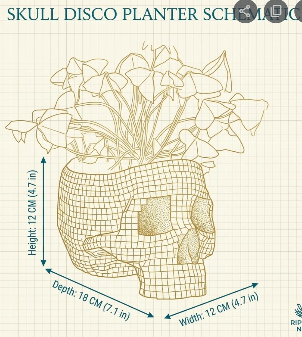 Disco skull planter dimension diagram showing 12 cm high, 12 cm wide and 18 cm deep