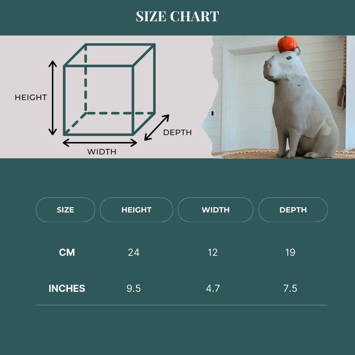 Capybara garden ornament dimensions chart, 24 by 12 by 19 centimetres