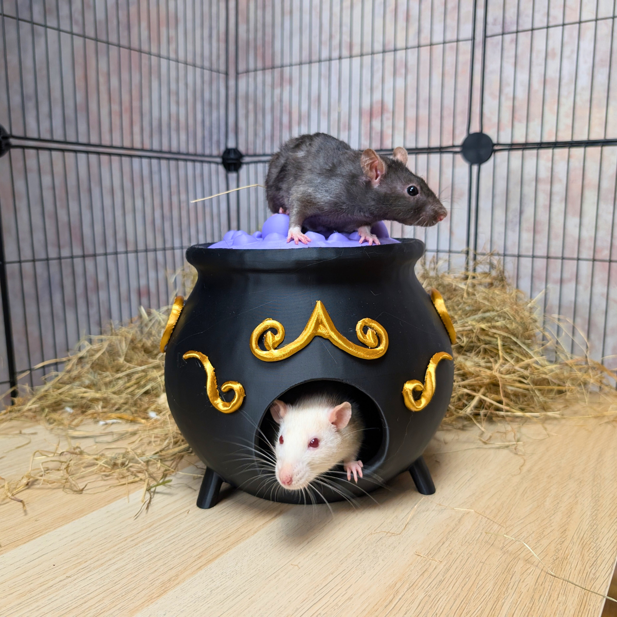 Gothic Rat Cage Accessories Set: rat sits atop cauldron