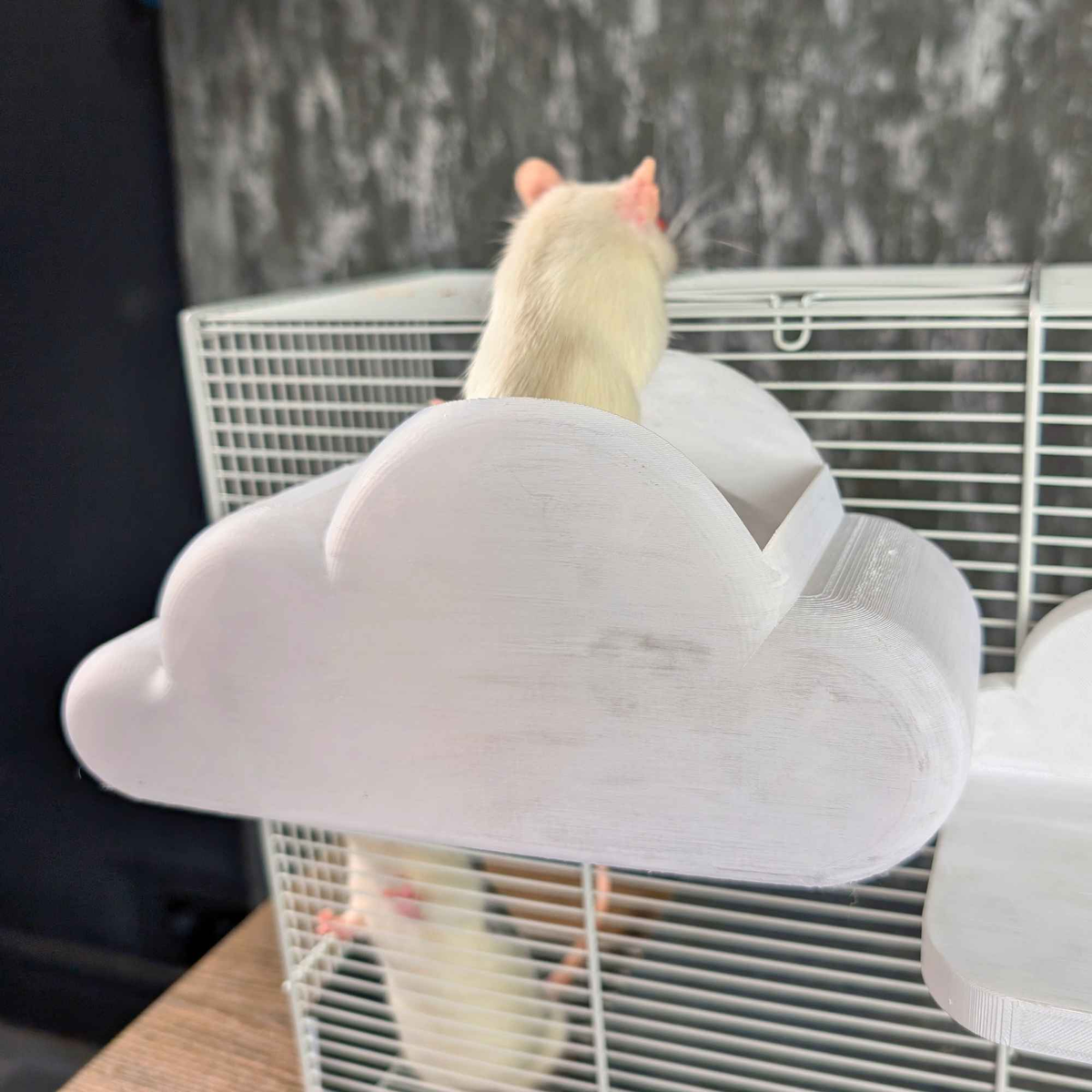 Cloud Rat Cage Shelves & Hideaway Set: three cloud-shaped shelves on a table