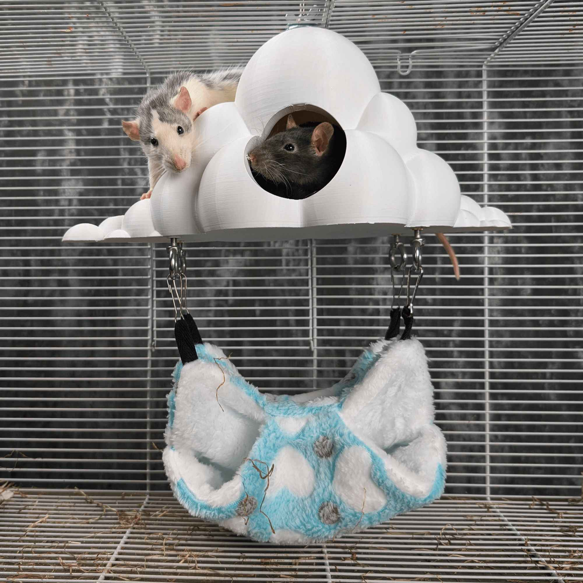 Cloud rat hide and hanging hammock installed together with three rats