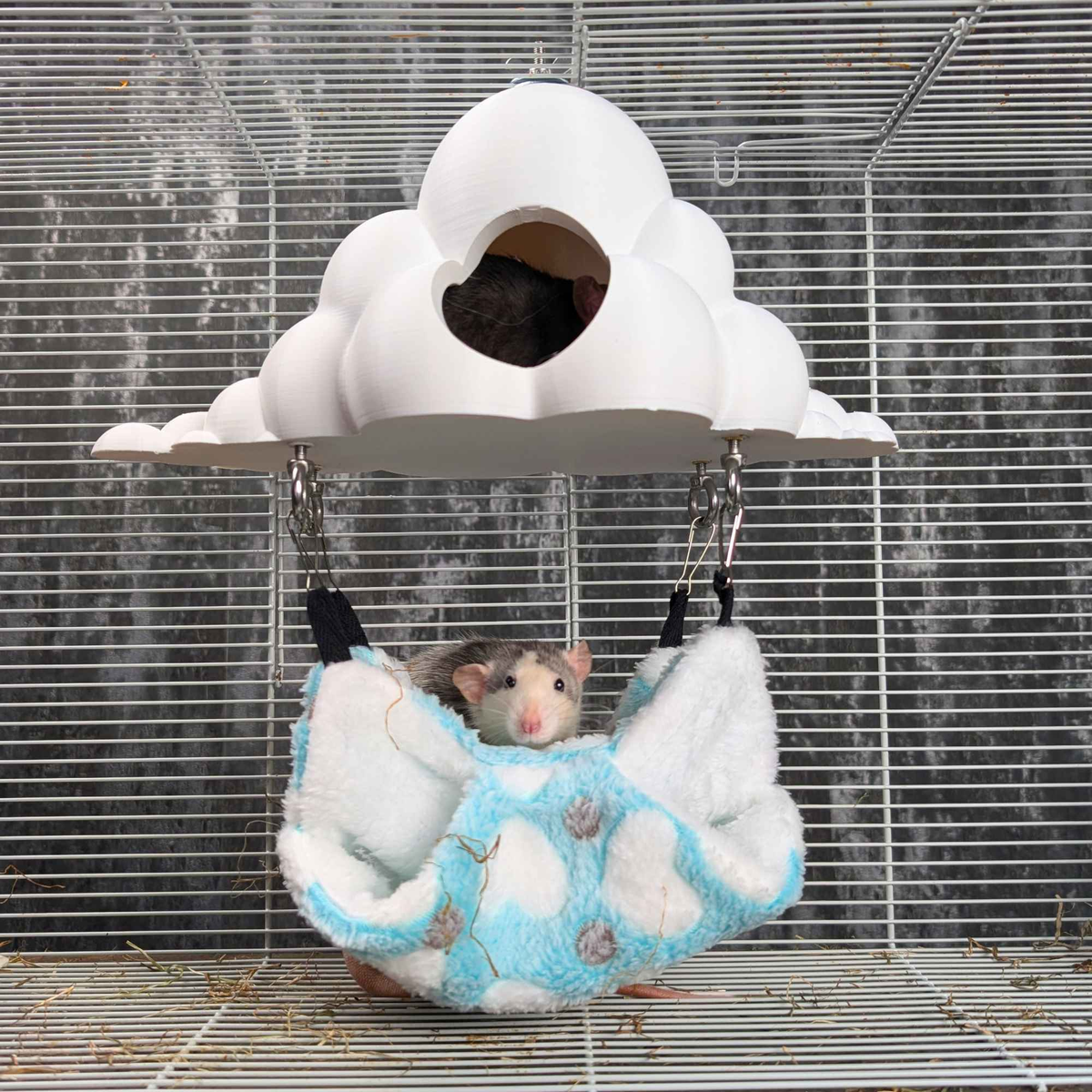 Cloud hide and hammock shown together inside a rat cage