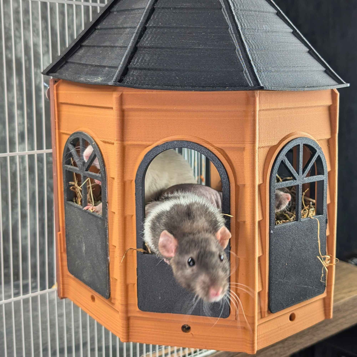 Pet rats inside the orange and black Rat Mansion hanging cage hide