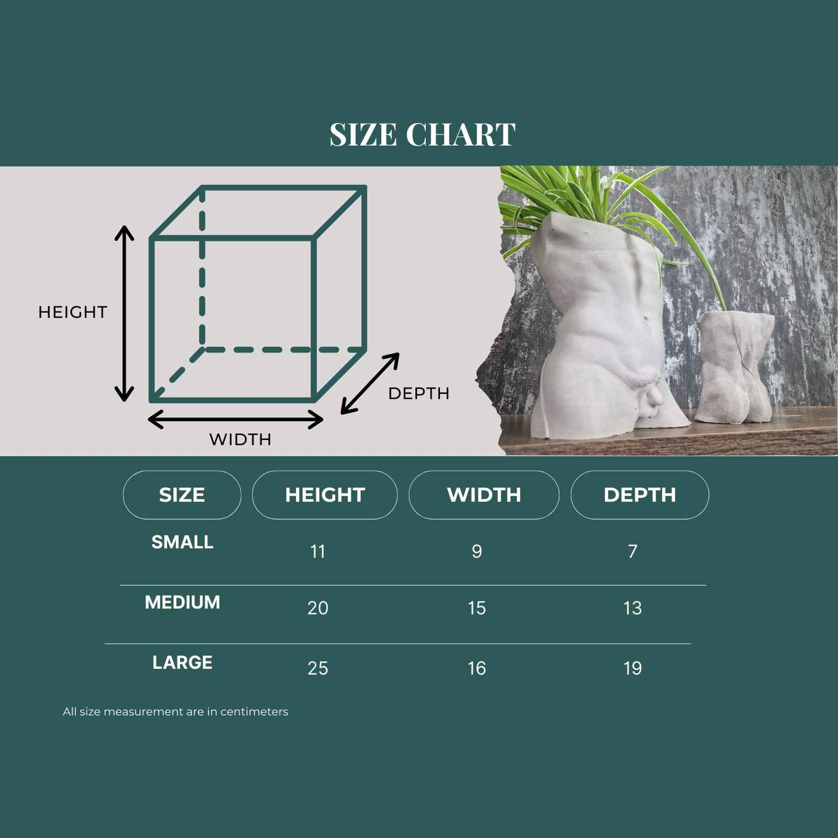 Greek god male planter size chart showing small, medium and large measurements