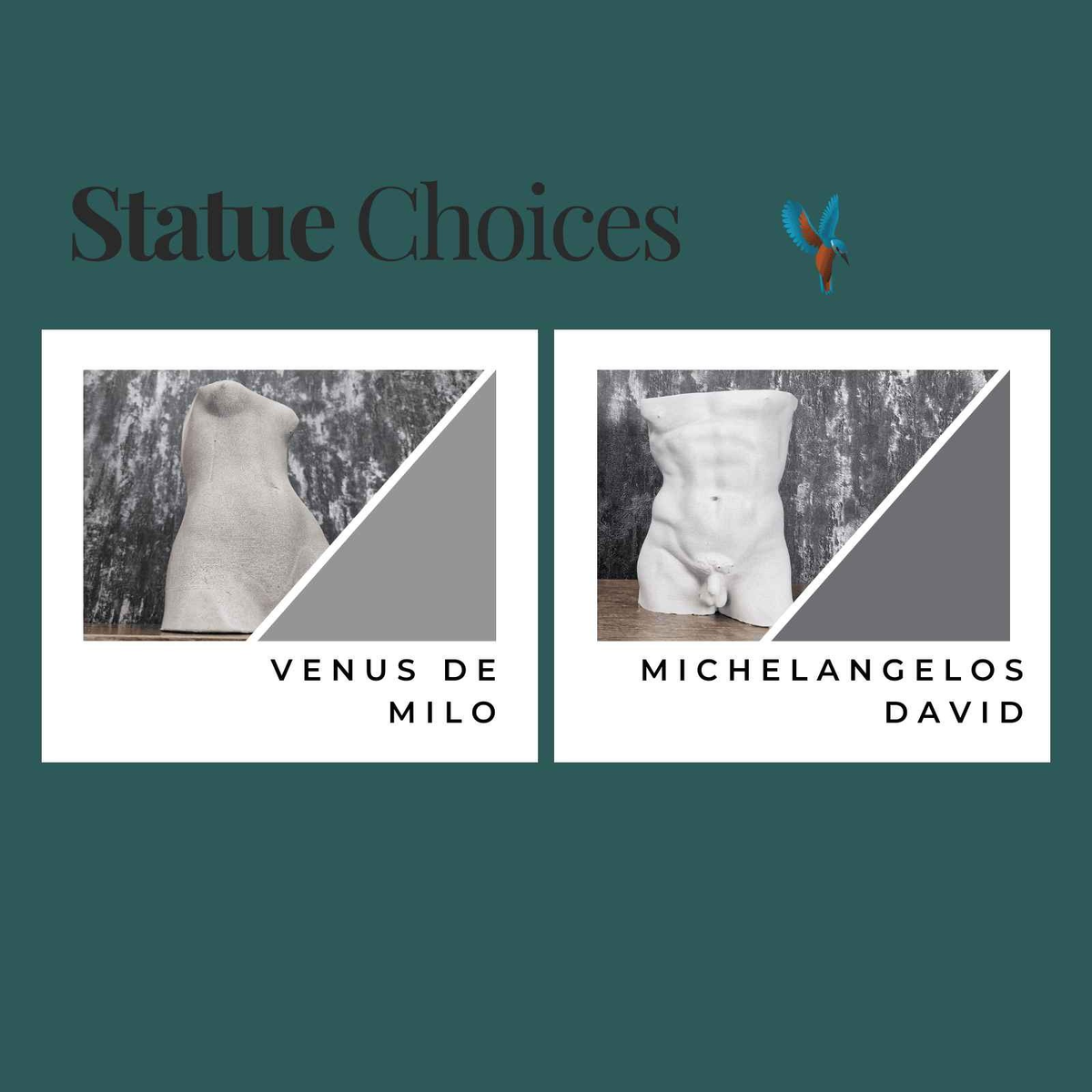 Style choice guide for Venus de Milo and Michelangelo's David planters