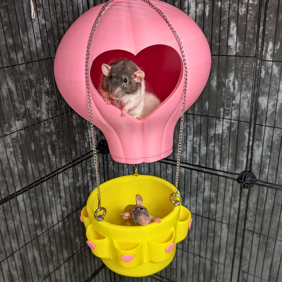 Hot Air Balloon Rat Hide – Hanging Cage Basket: Rat looking out from the pink balloon hide above yellow basket