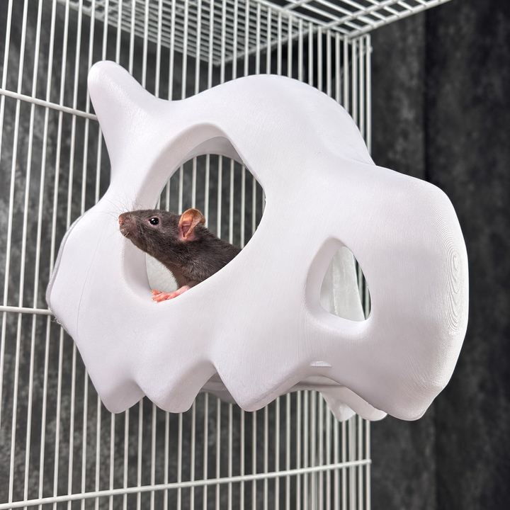 Gothic Skull Rat Hide & Hanging Nest: rat peeking through the opening of a white skull hideout