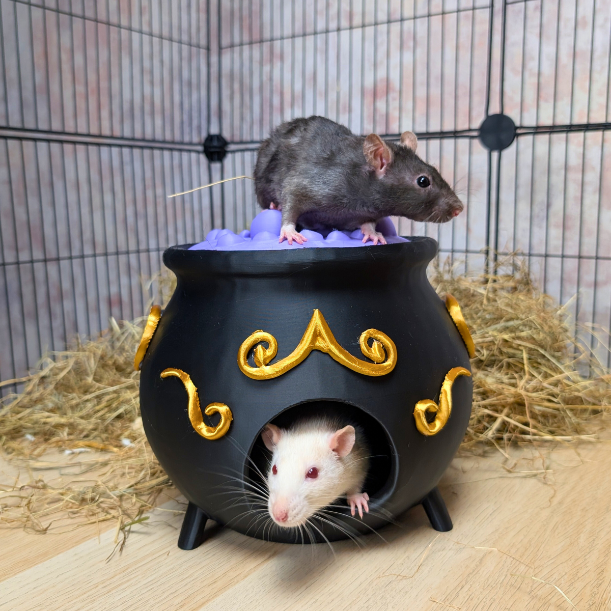 Witch Cauldron Rat Hide: cage accessory