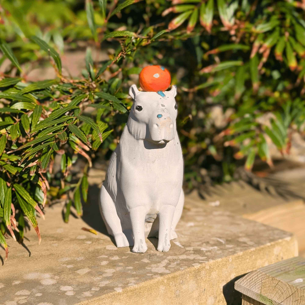 Front view of a cast stone capybara garden ornament balancing an orange