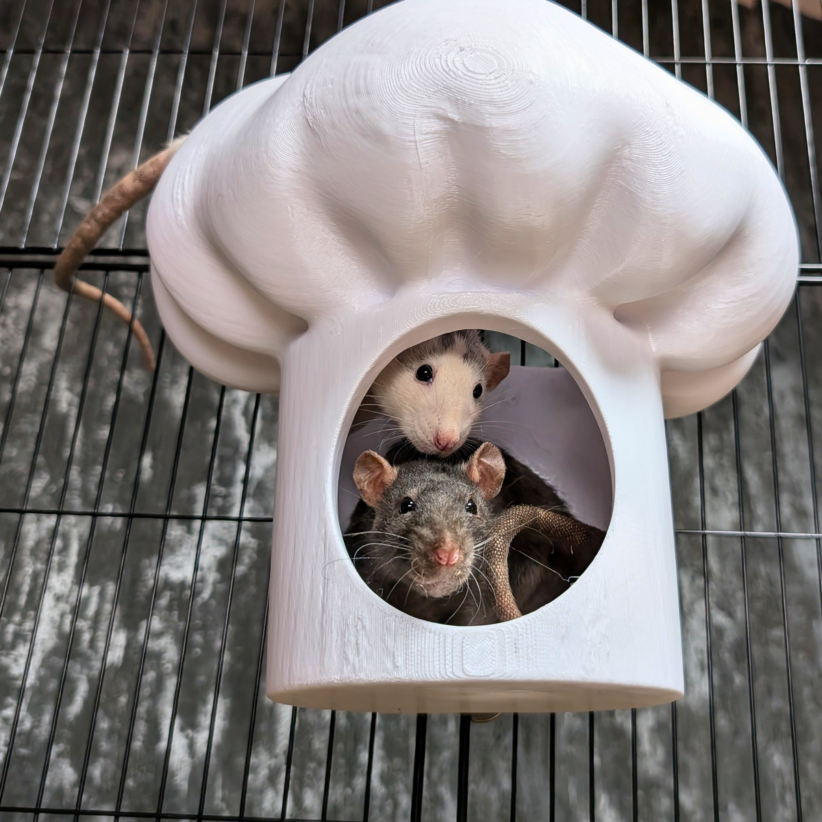 Chef Hat Rat Hide: Rats peeking through the opening of a chef hat hide