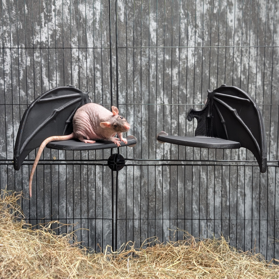 Pair of black bat-wing rat cage shelves with a pet rat on the left perch