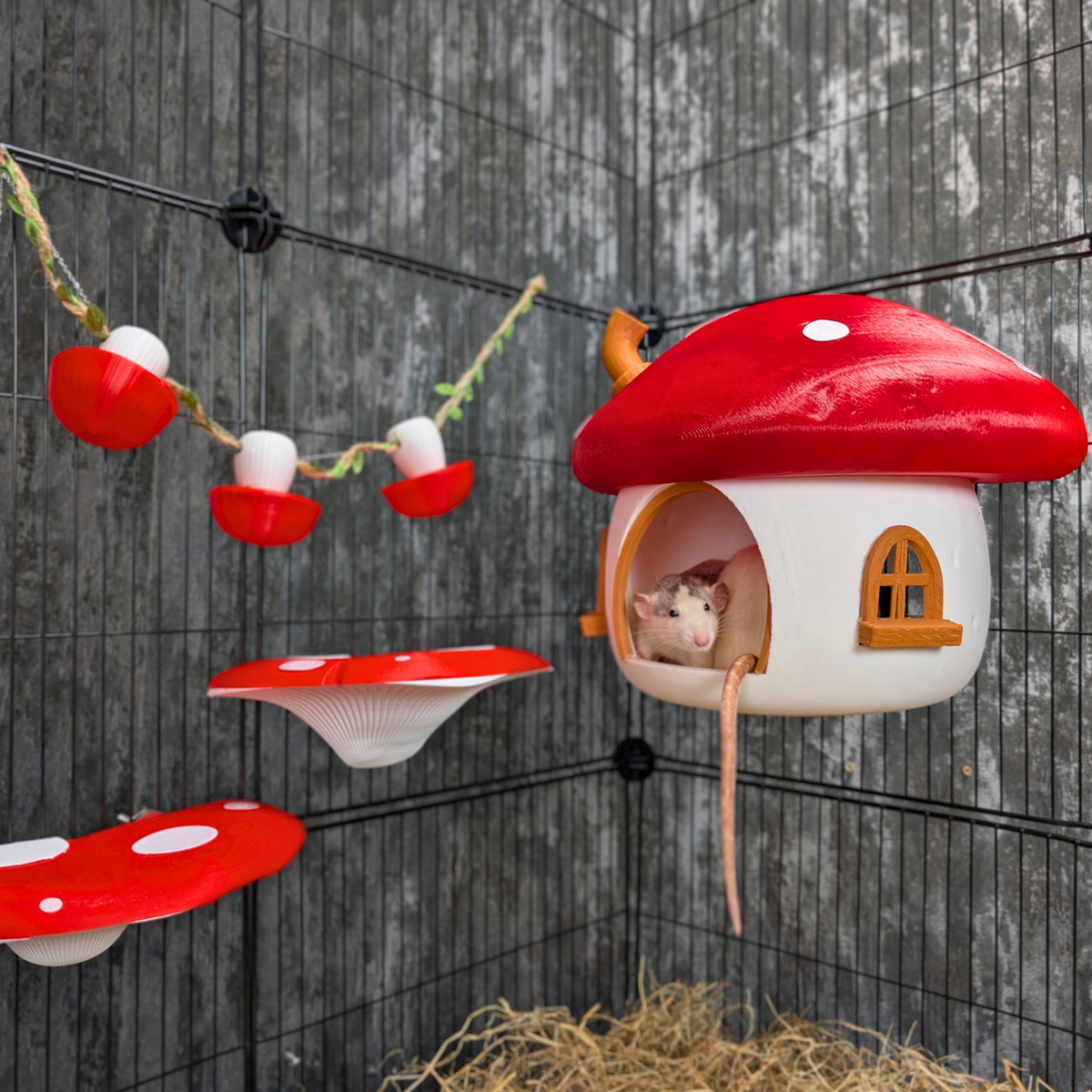 Fairy mushroom rat hide, shelves and forage garland installed in a cage