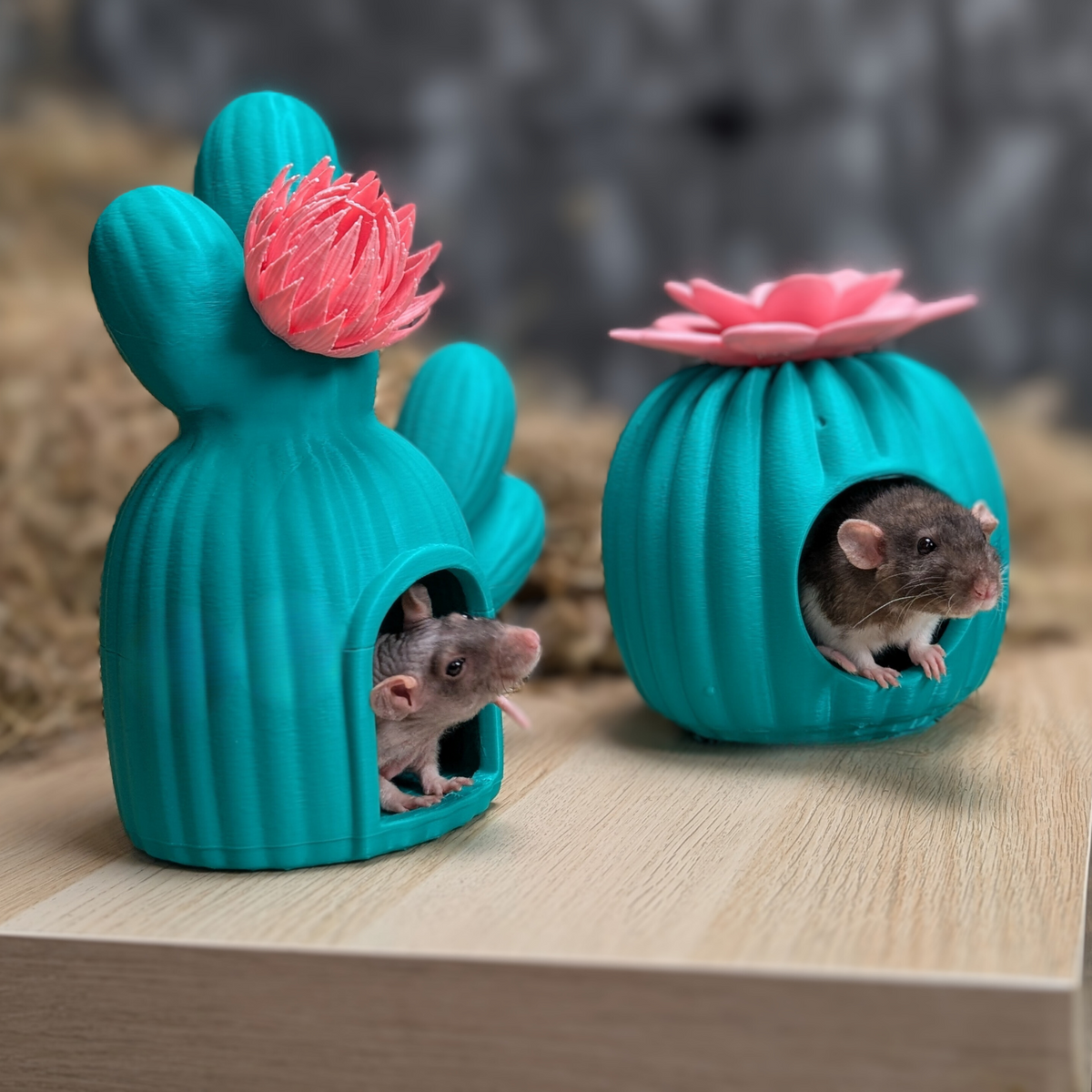 Cactus Rat Hide: pair of teal cactus hides, each with a rat peeking out