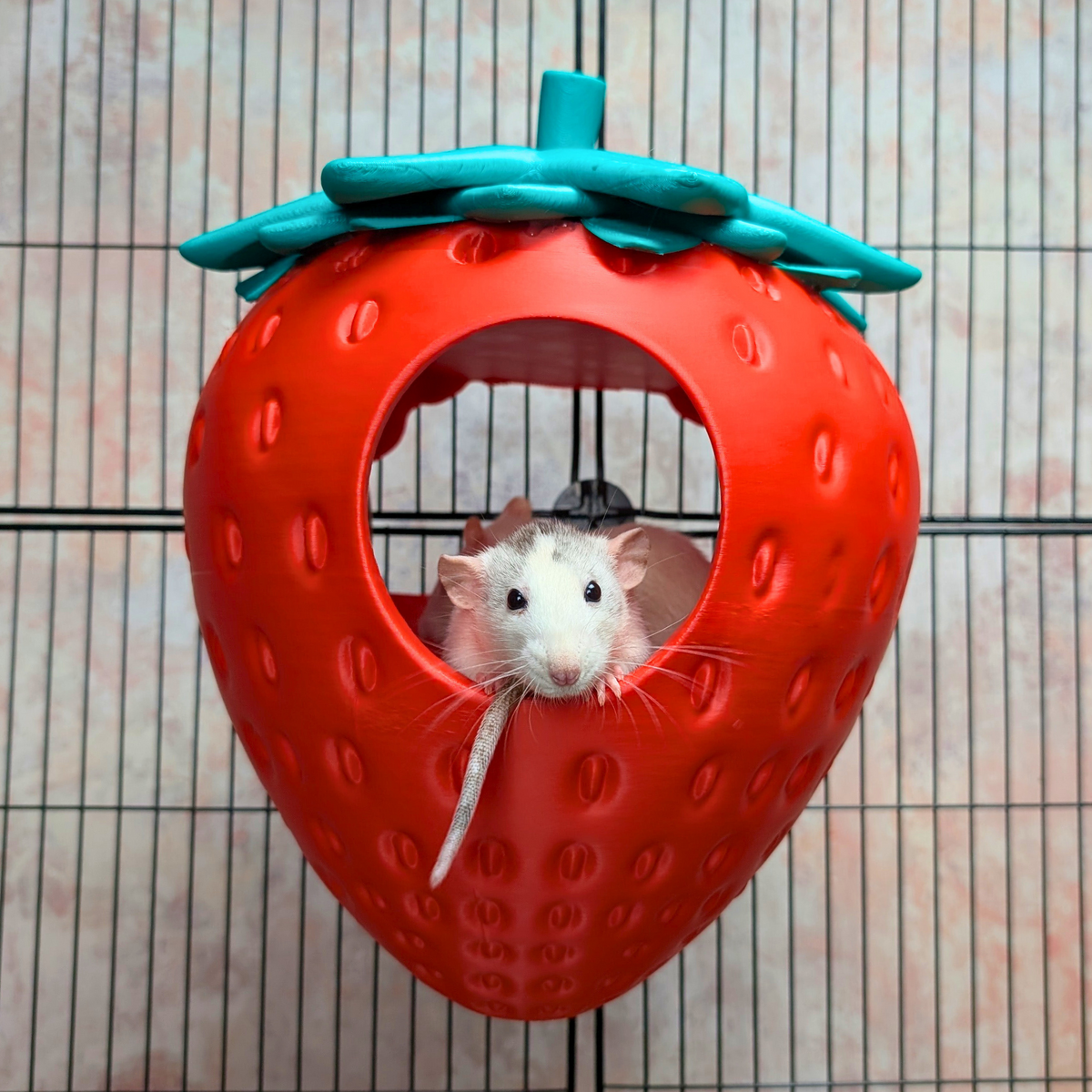 Strawberry Rat Hide hero view showing strawberry-shaped rat bed entrance