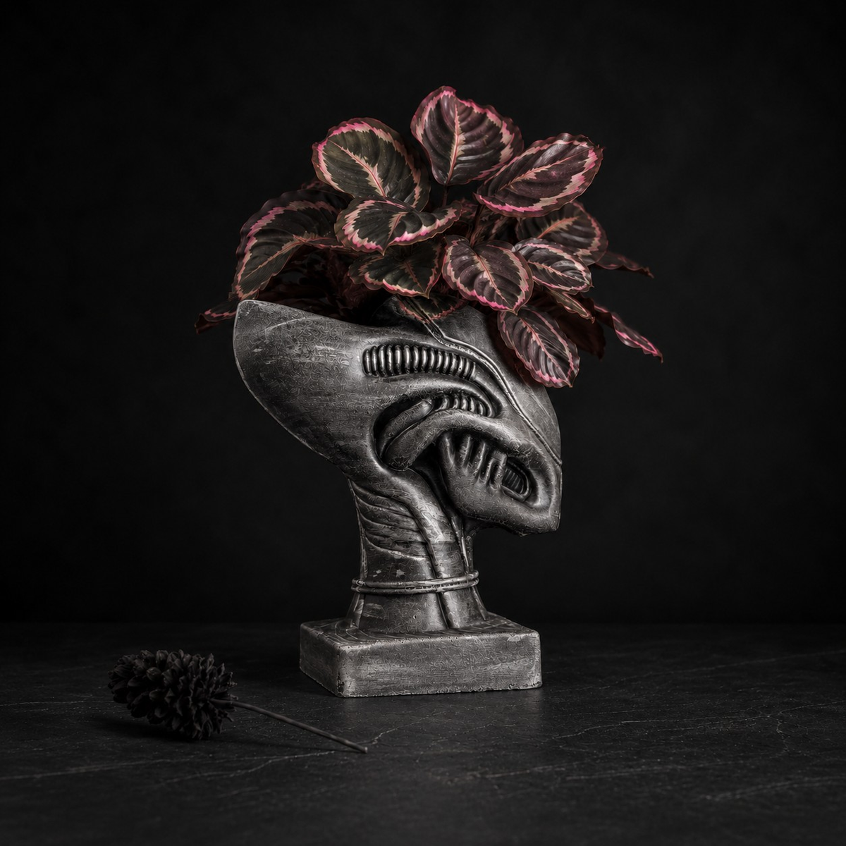 Xenophyte sculptural indoor plant pot with dark painted finish
