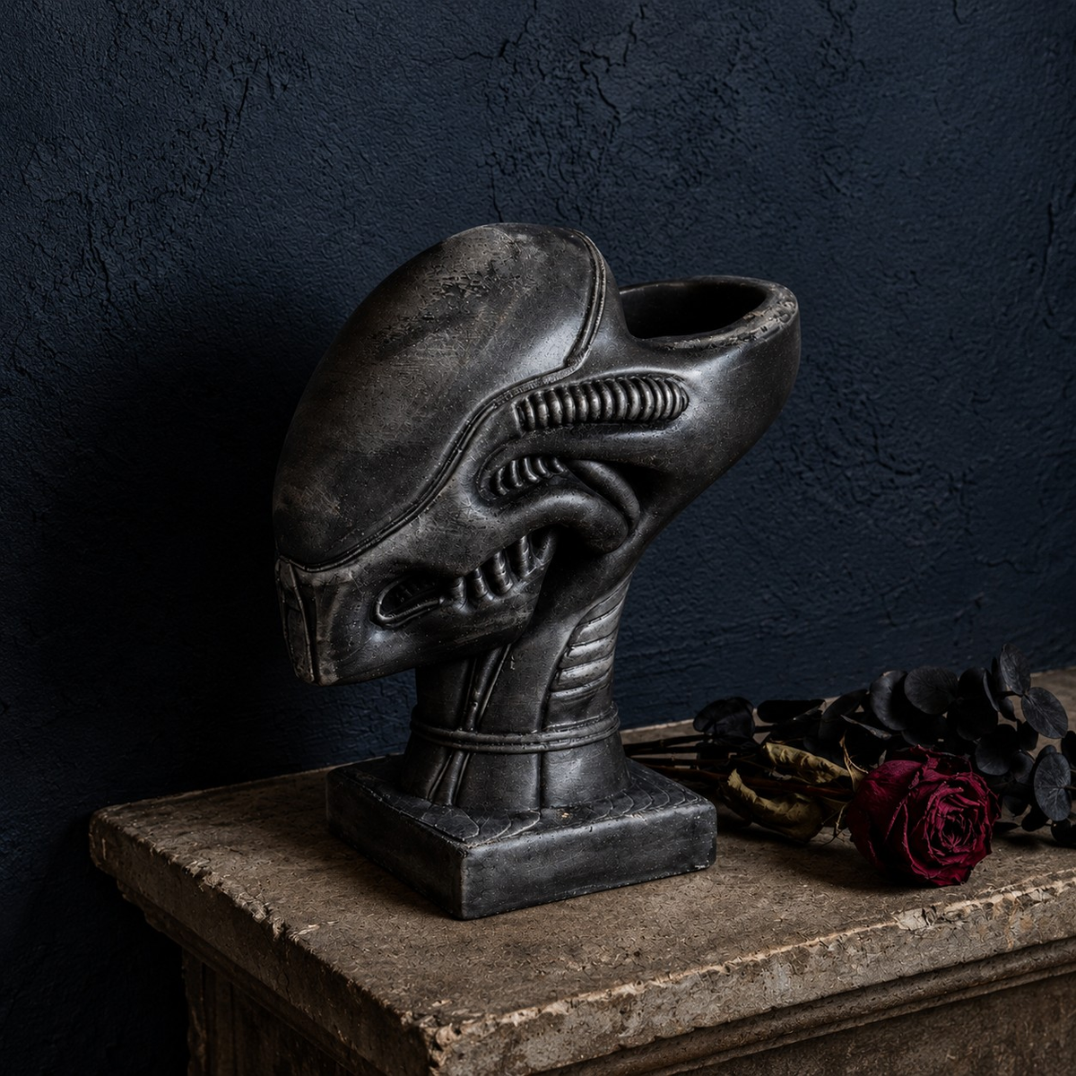Xenophyte planter on shelf with dark wall and dried rose