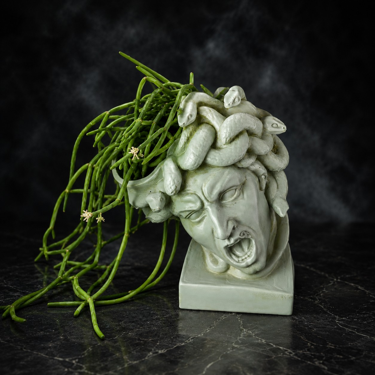 Front view of The Gorgon's Bloom Medusa planter with snake detail