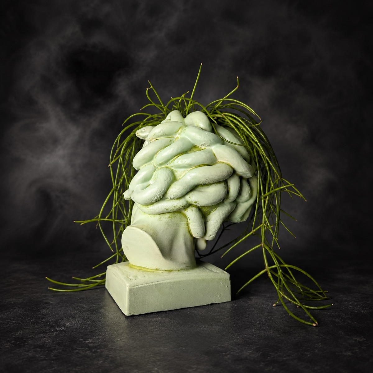 Rear view of Medusa cast stone planter with snake hair detail