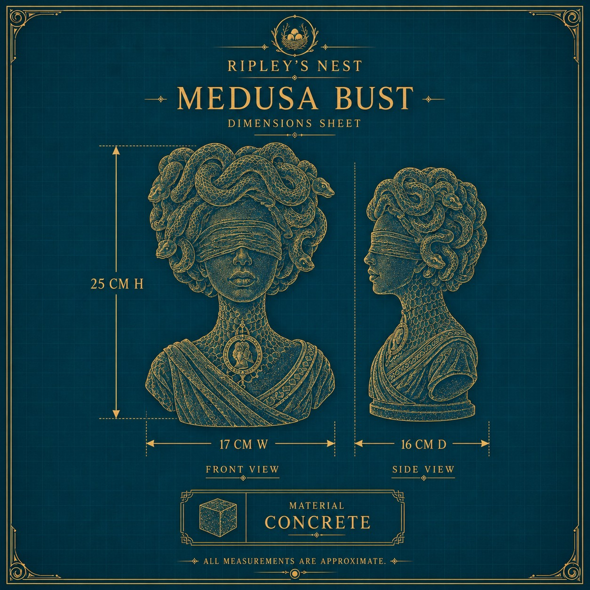 Dimensions sheet for Medusa Still Standing showing 25 cm high by 17 cm wide by 16 cm deep