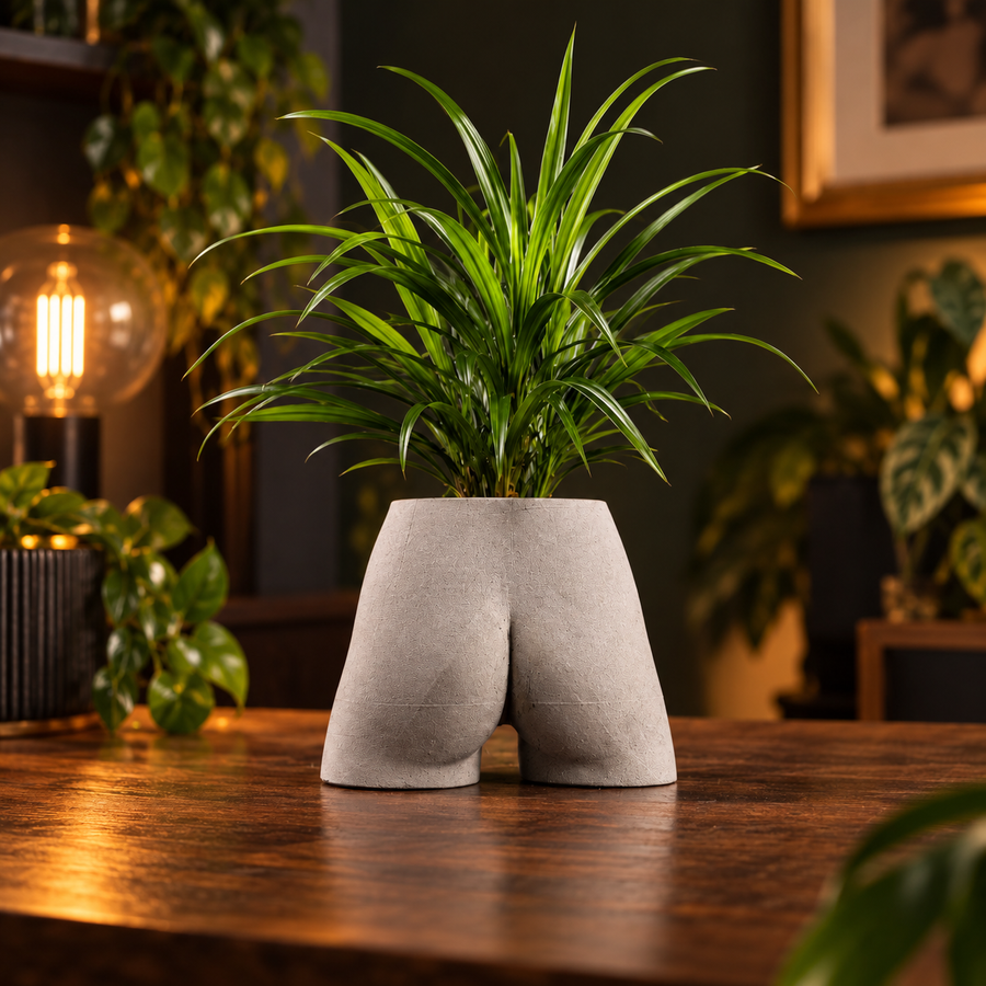 Bum planter