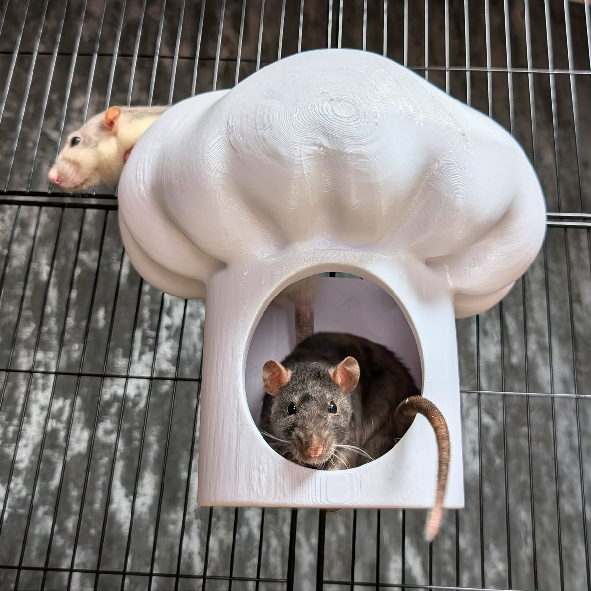 Chef Hat Rat Hide & Bed - detail view